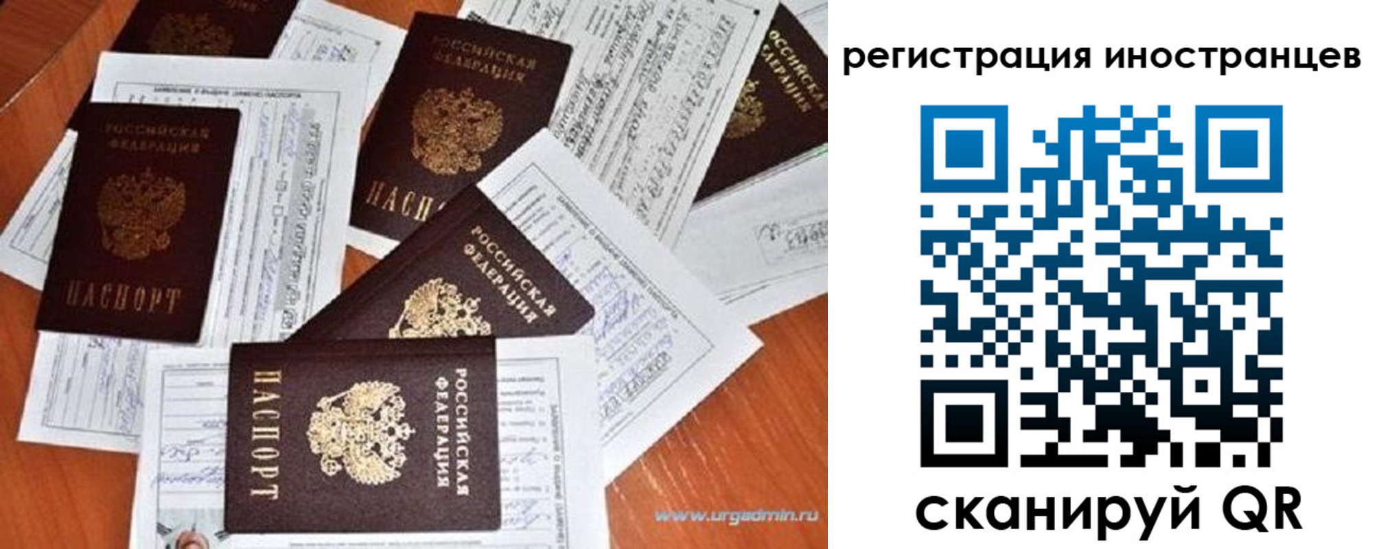 временная регистрация гарантия в Полярном
